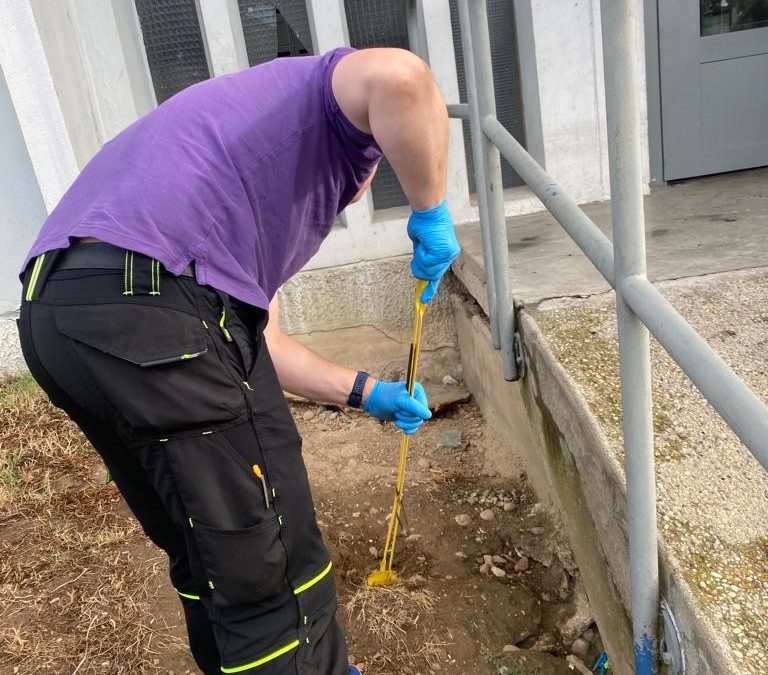 Le vinaigre blanc permet-il vraiment d’éloigner les rats ?